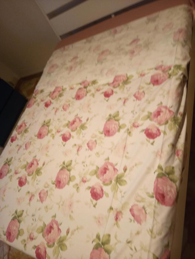 Casa Vacanze Giulia A Careggi Wi-Fi Apartment Firenze Bagian luar foto